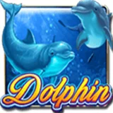 Bocoran RTP Slot Mega888 Dolphin Op